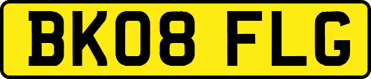 BK08FLG