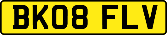 BK08FLV