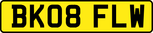 BK08FLW
