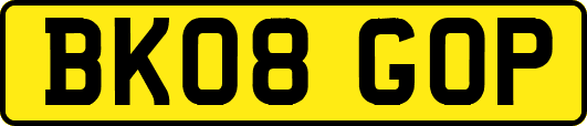 BK08GOP