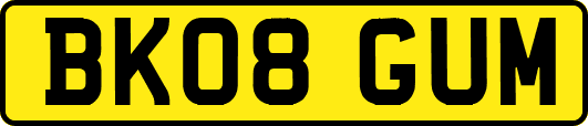BK08GUM
