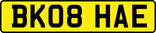 BK08HAE