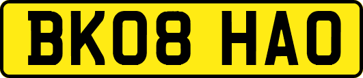BK08HAO