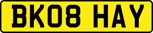 BK08HAY