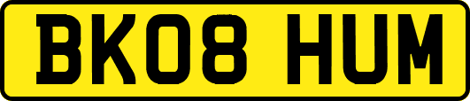 BK08HUM