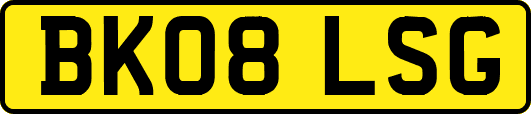 BK08LSG