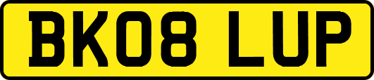 BK08LUP