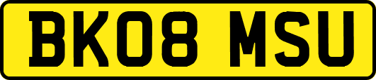 BK08MSU