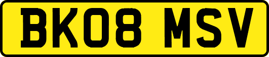 BK08MSV
