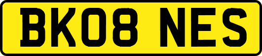 BK08NES