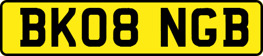 BK08NGB