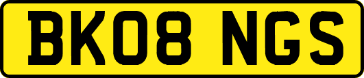 BK08NGS