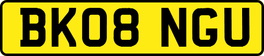 BK08NGU