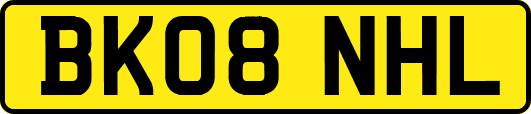 BK08NHL