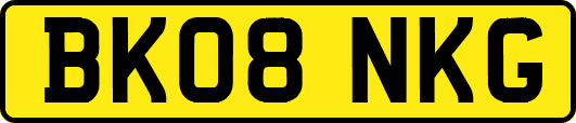 BK08NKG