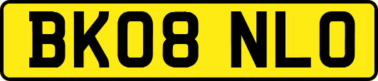 BK08NLO