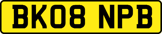 BK08NPB