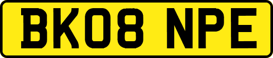 BK08NPE