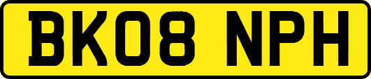BK08NPH