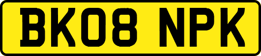 BK08NPK