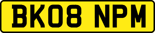 BK08NPM