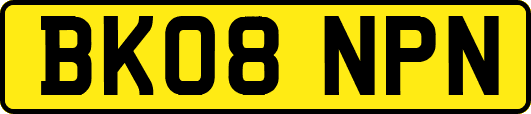 BK08NPN