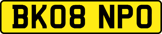 BK08NPO