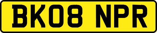 BK08NPR