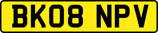 BK08NPV