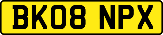 BK08NPX