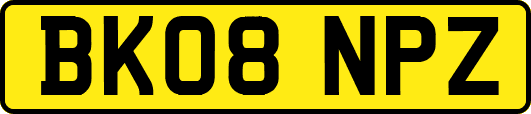 BK08NPZ