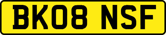BK08NSF