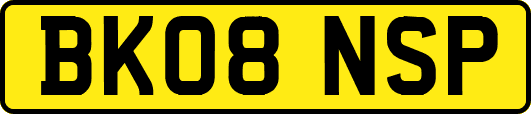 BK08NSP