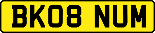 BK08NUM