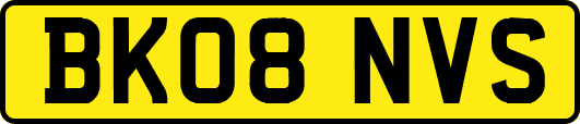 BK08NVS