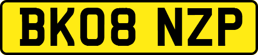 BK08NZP