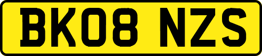 BK08NZS