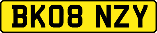 BK08NZY