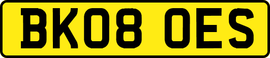 BK08OES