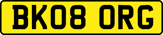BK08ORG