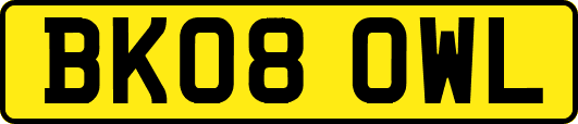BK08OWL