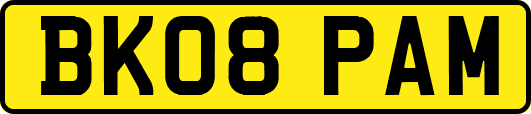 BK08PAM