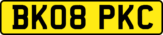 BK08PKC