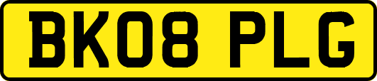 BK08PLG