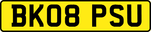 BK08PSU