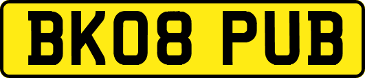 BK08PUB
