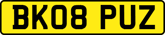 BK08PUZ