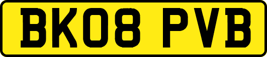 BK08PVB