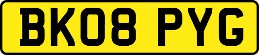 BK08PYG