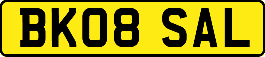 BK08SAL